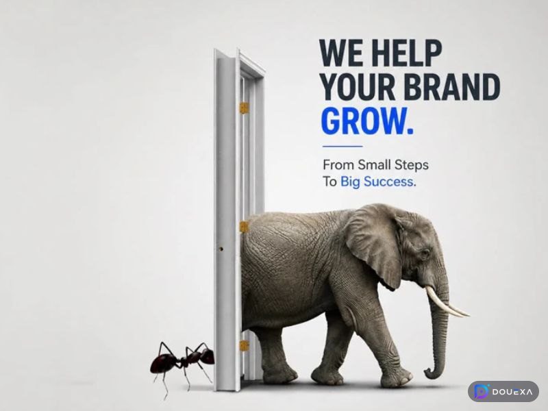 Estrategia de marca: ejemplo de Branding e Identidad Visual de Douexa